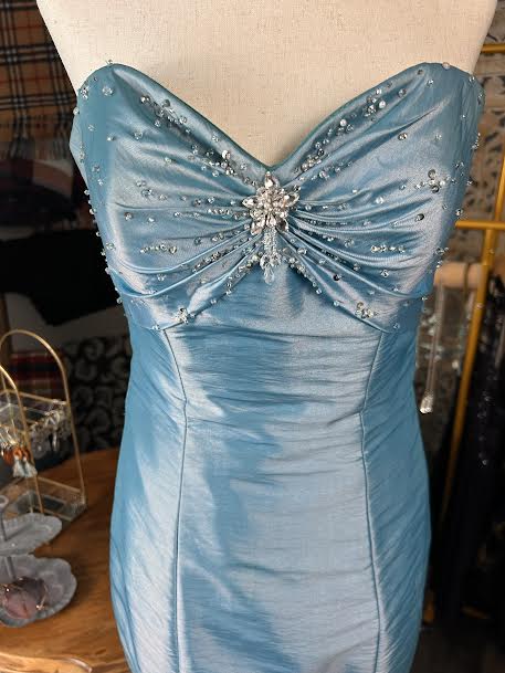 Blue Gown